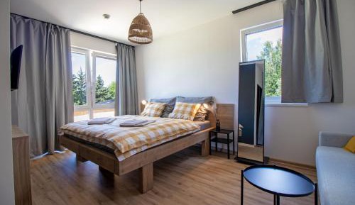 Double or Twin Room with Extra Bed