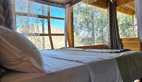 Suite with Mountain View
