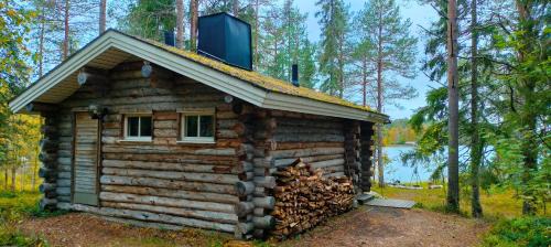 Cabin with Lake View