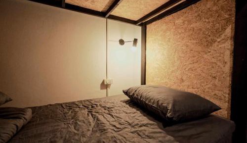 Bunk Bed in Mixed Dormitory Room