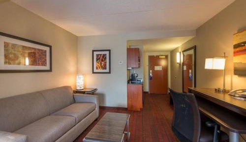 One-Bedroom King Suite