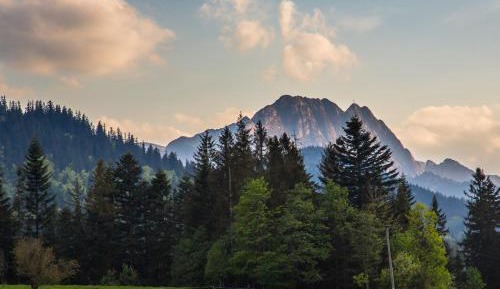 Double Room with Mountain View
