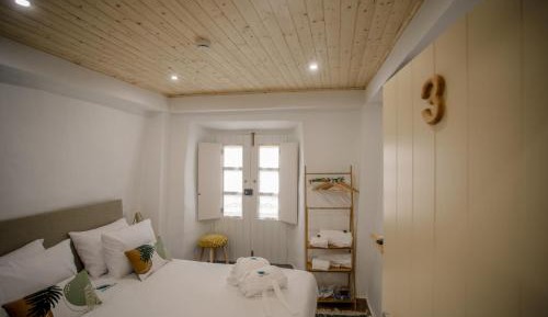 Standard Suite
