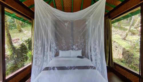 Standard Bungalow