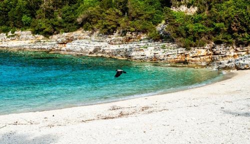 Apartment (4 Adults)