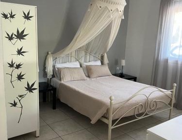 Family Studio