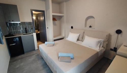 Double or Twin Room with Terrace