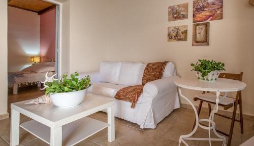 Junior One-Bedroom Apartment