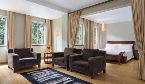 One-Bedroom Premier King Suite