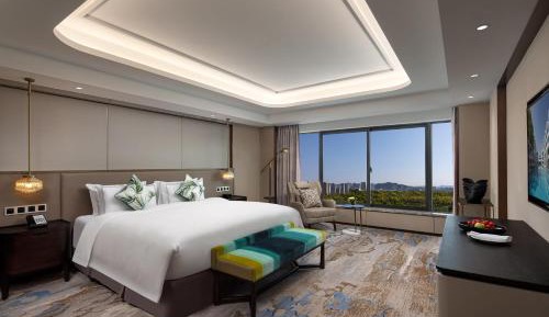 Deluxe Suite ( The picture of the room is for reference only. The specific room type shall prevail)