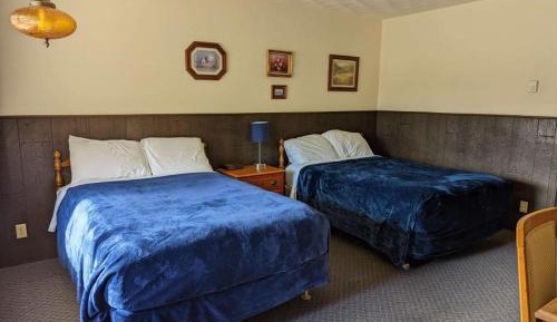 Deluxe Double Room (2 Adults + 1 Child)