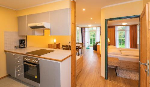 One-Bedroom Apartment - Berner Haus