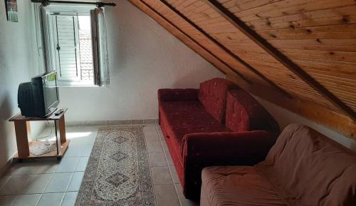 Family Studio