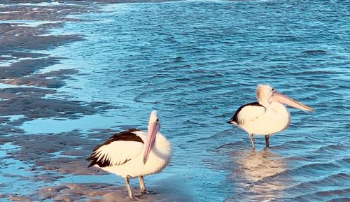 Twin Room with Garden View