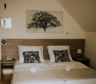Double or Twin Room with Garden View