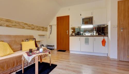Duplex Apartment (5 Adults)