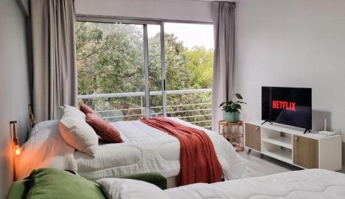 King Studio with Sofa Bed