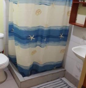 Bunk Bed in Mixed Dormitory Room