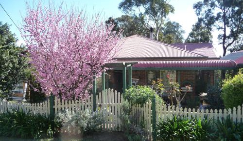 Double Room with Garden View