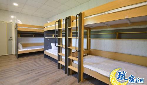 Bed in 6-Bed Dormitory Room