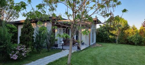 One-Bedroom Villa
