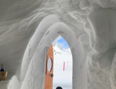 Igloo Room