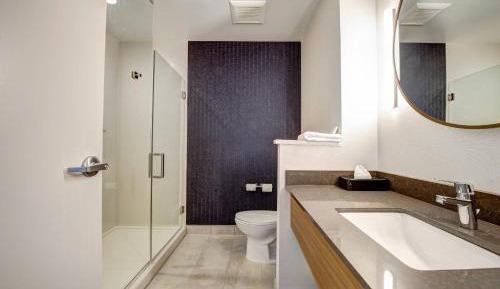 Suite, 1 King, Sofa bed