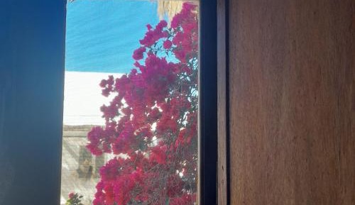 One-Bedroom Apartment (2 Adults + 2 Children)