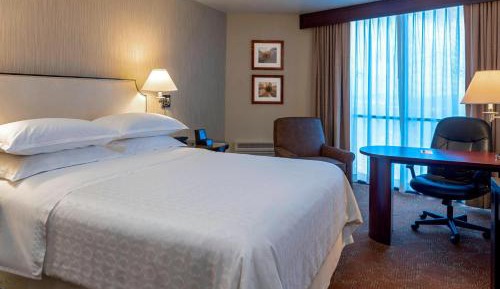 Traditional, Concierge lounge access, Guest room, 1 Queen
