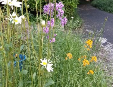 Apartment with Terrace
