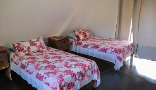 Single Bed in Mixed Dormitory Room
