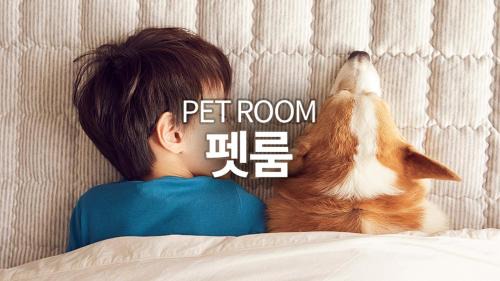 [Pet Room] Deluxe Double Room
