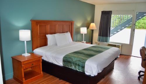 1 King Bed Non Smoking