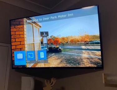 Pet Friendly - King Room  