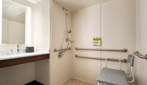 Standard King Room with Roll-in Shower - Mobility Accessible
