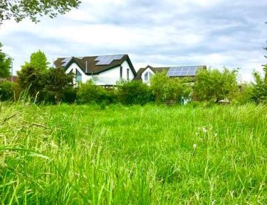 One-Bedroom Apartment with Shower