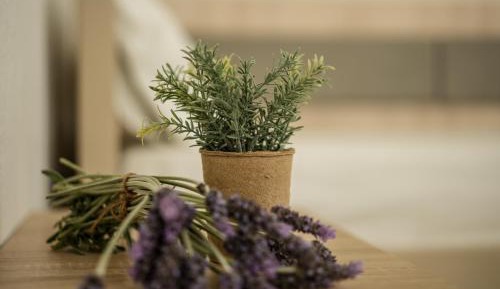 Apartment - Beach Front