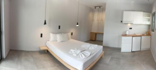 Junior Suite with Terrace