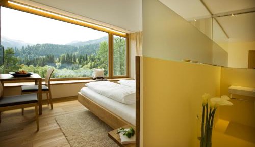 Double Room with Mountain View