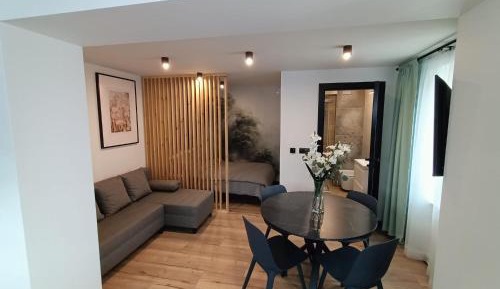 Studio Apartment