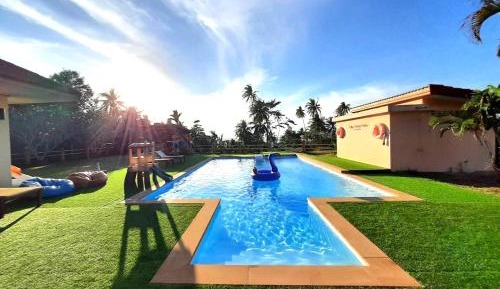 Bunk Bed in Mixed Dormitory Room