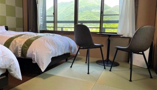 Standard Western Style Room with Tatami Area for 2 People - Adult only