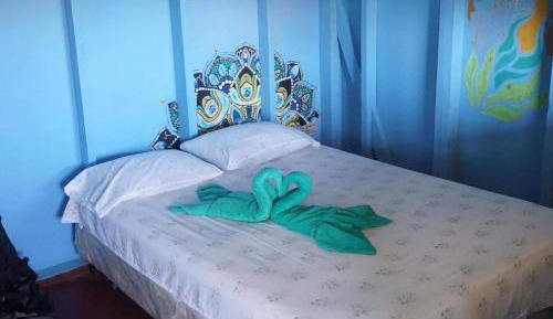 Budget Single Room