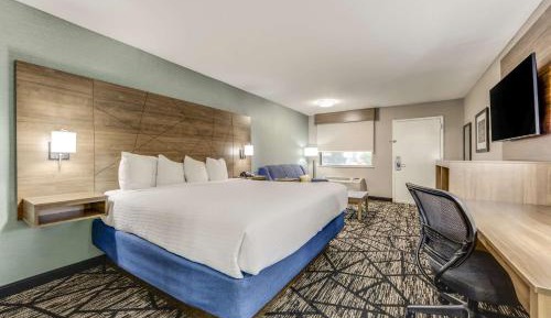 King Suite with Sofa Bed - Non-Smoking