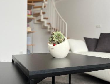 Duplex Apartment