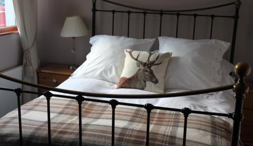 Deluxe Double Room with Shower