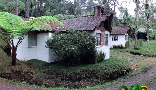 Family Room with Garden View
