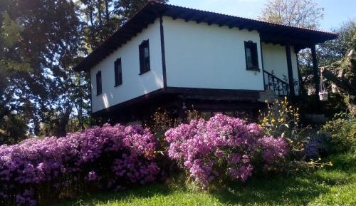 Five-Bedroom House