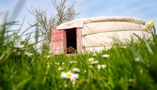 Tent