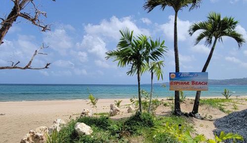 Apartment with Balcony #1